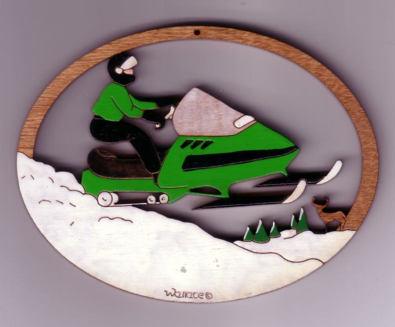 Snowmobile #123